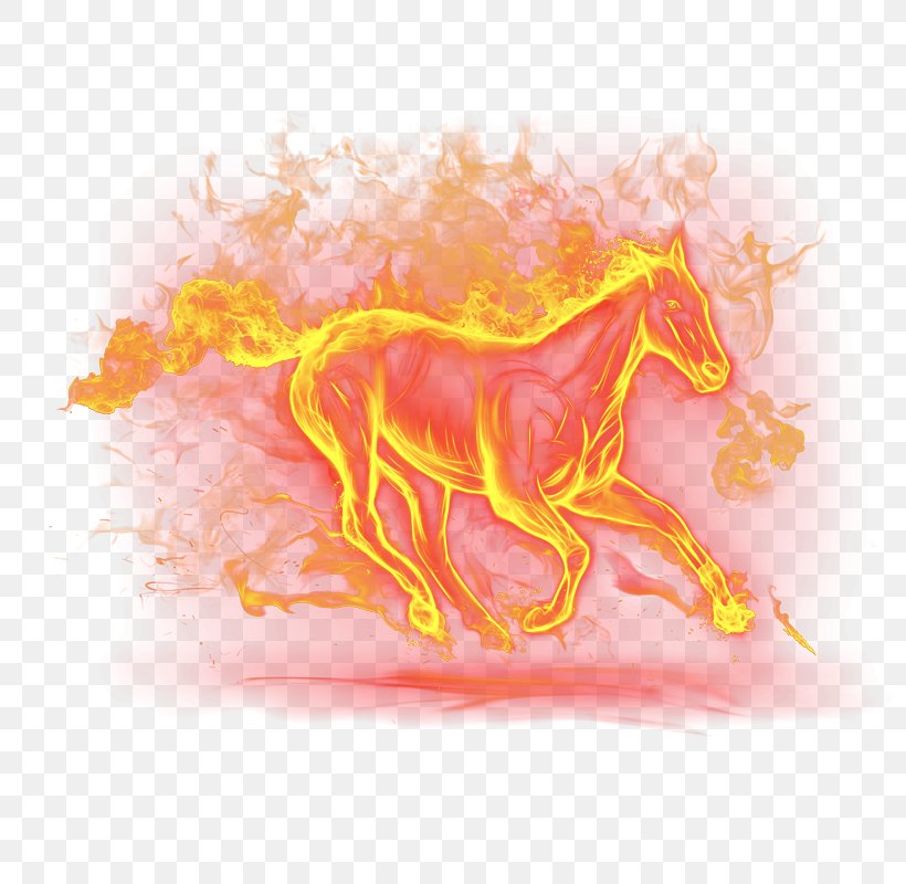 Horse Flame Computer File, PNG, 800x800px, Horse, Art, Combustion, Fictional Character, Fire Download Free