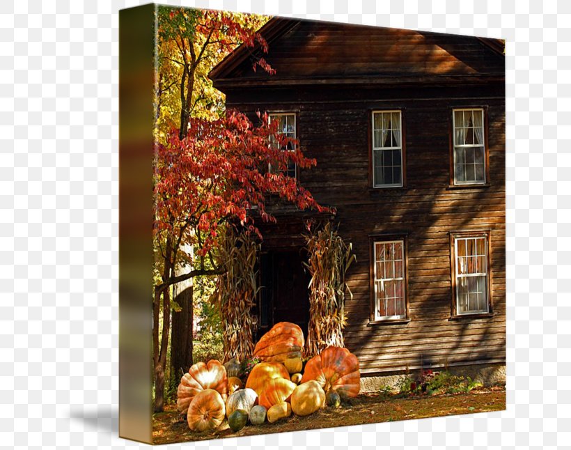 Property, PNG, 650x646px, Property, Autumn, Cottage, Facade, Flower Download Free