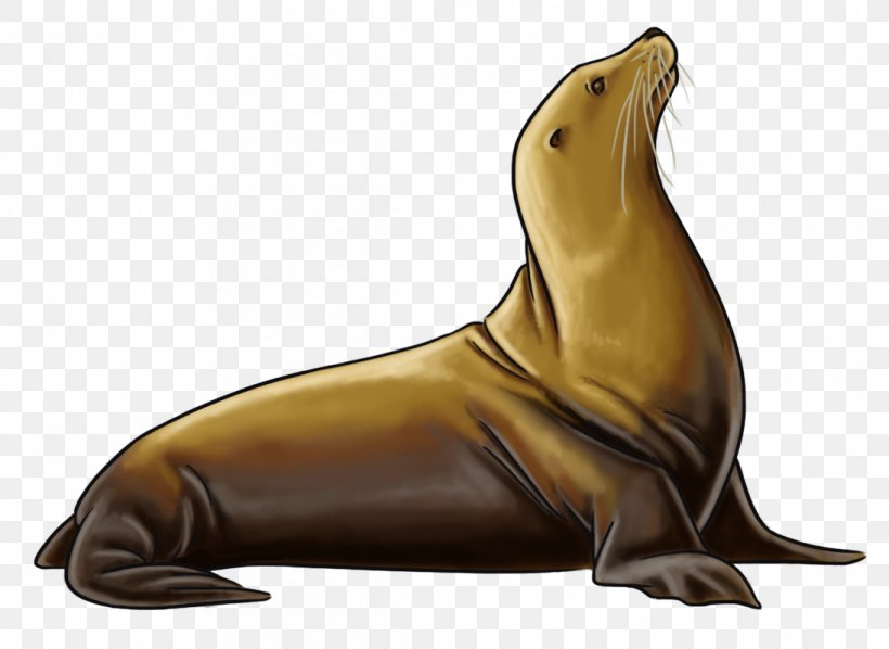 Sea Lion Walrus Marine Mammal Animal, PNG, 1095x799px, Sea Lion, Animal, Animal Figure, Art Blog, Carnivora Download Free