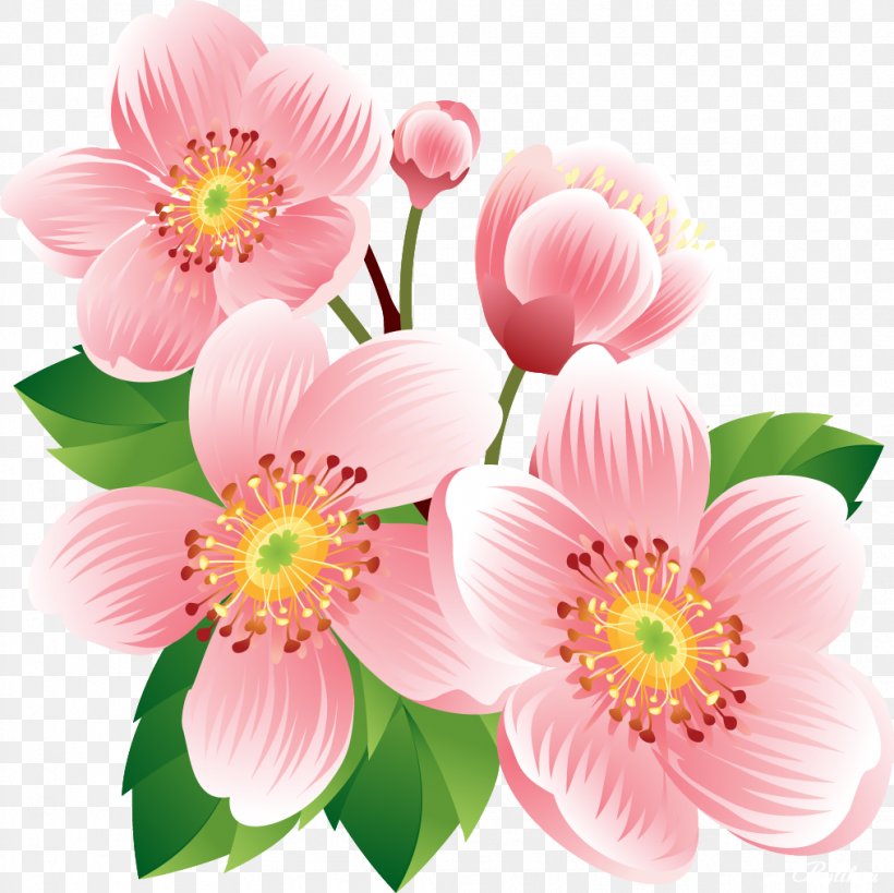 Clip Art Flower Floral Design Illustration Vector Graphics, PNG, 1014x1013px, Flower, Annual Plant, Art, Blossom, Cut Flowers Download Free