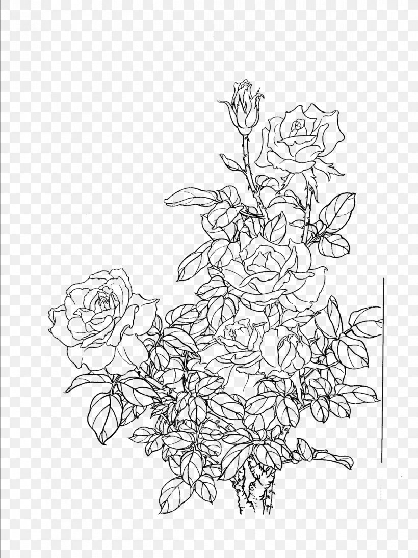Flower Painting Drawing, PNG, 1197x1600px, Flower, Area, Art, Artwork, Black And White Download Free