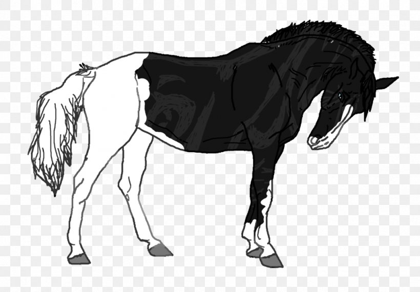 Mule Stallion Mustang Mare Colt, PNG, 1024x712px, Mule, Black And White, Bridle, Colt, Drawing Download Free