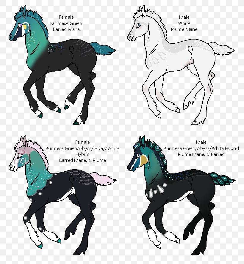 Mustang Stallion Colt Pony Foal, PNG, 808x889px, Mustang, Animal Figure, Bridle, Colt, Fictional Character Download Free