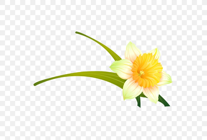 Cut Flowers Painting Artificial Flower Clip Art, PNG, 555x555px, Flower, Art, Artificial Flower, Cut Flowers, Daisy Family Download Free