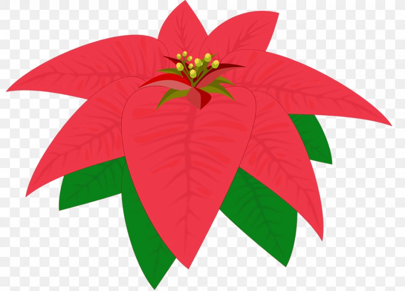 Flower Poinsettia Clip Art, PNG, 960x690px, Flower, Christmas, Drawing, Leaf, Plant Download Free
