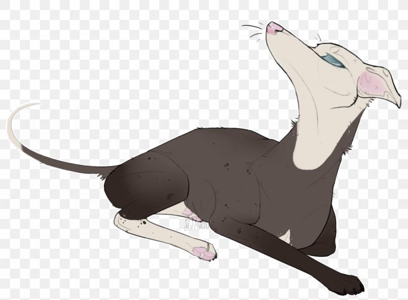 Italian Greyhound Cat Tail, PNG, 1024x754px, Italian Greyhound, Animated Cartoon, Carnivoran, Cat, Cat Like Mammal Download Free