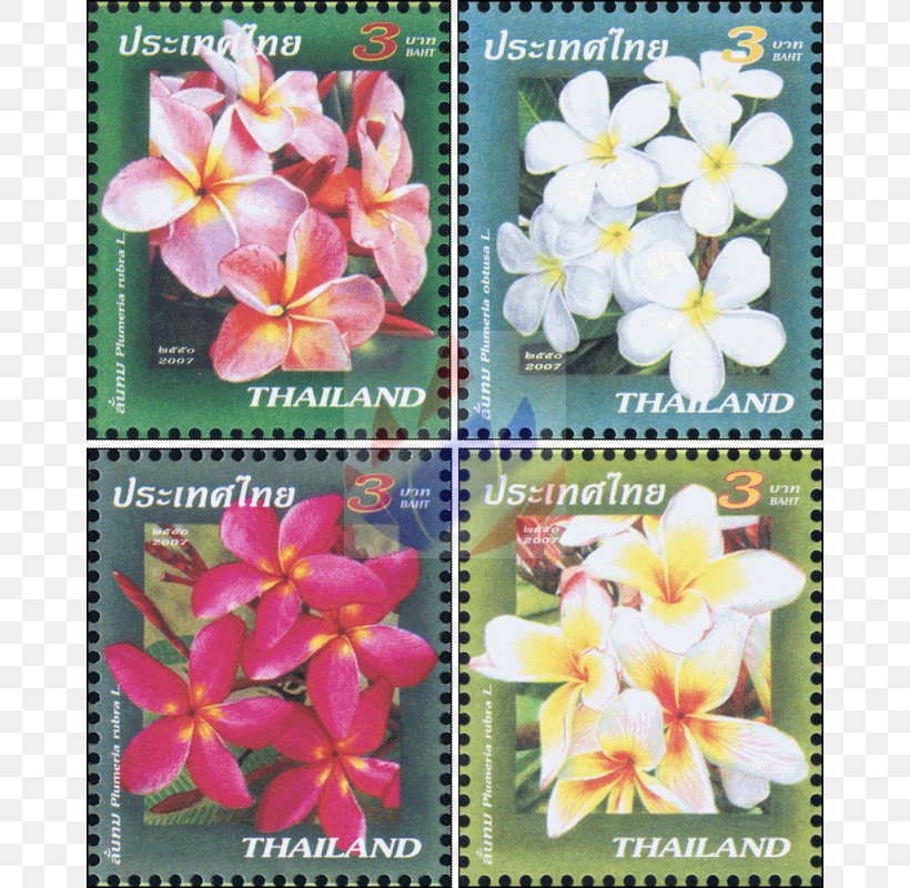 Thailand Flowering Plant Postage Stamps Plants, PNG, 800x800px, Thailand, Flora, Flower, Flowering Plant, Petal Download Free