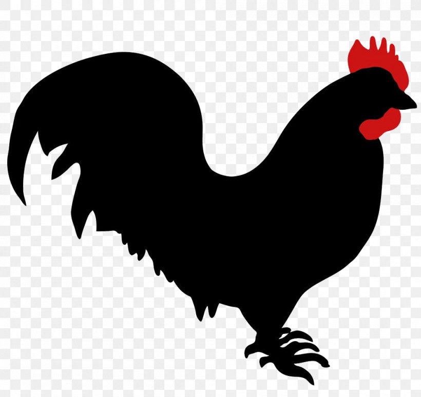 Chicken Rooster Bird Beak Comb, PNG, 1000x944px, Chicken, Beak, Bird, Comb, Fowl Download Free