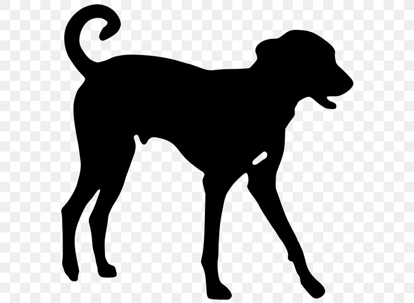 Bulldog Background, PNG, 593x600px, Indian Pariah Dog, Ancient Dog Breeds, Animal, Barbet, Breed Download Free