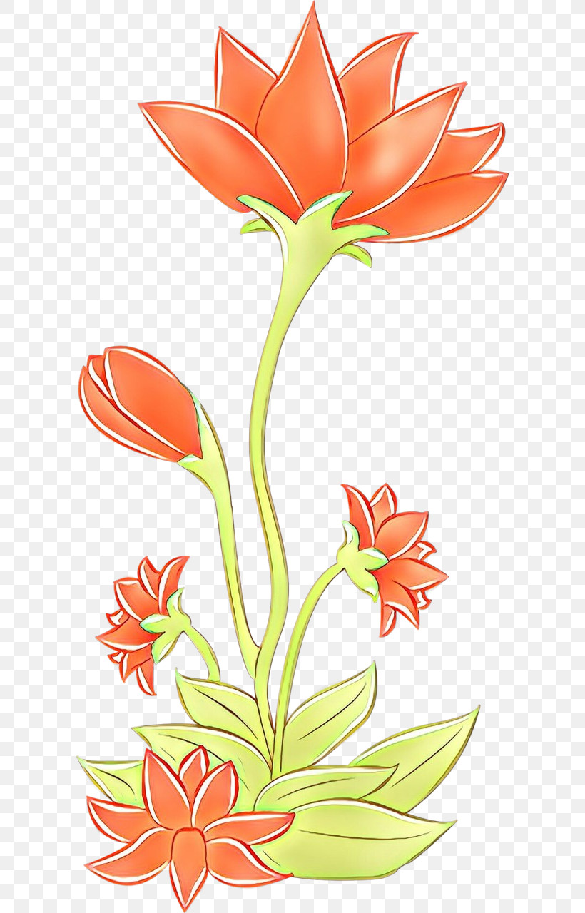Orange, PNG, 606x1280px, Flower, Cut Flowers, Orange, Pedicel, Plant Download Free