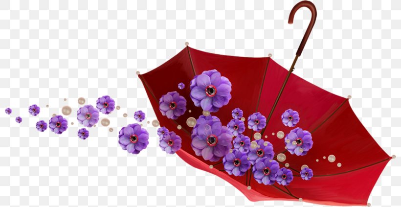The Umbrellas Image Vector Graphics, PNG, 800x423px, Umbrella, Cut Flowers, Diary, Flora, Floral Design Download Free