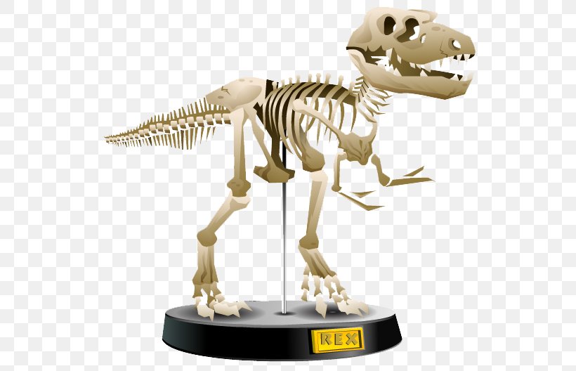 Tyrannosaurus Velociraptor Figurine, PNG, 655x528px, Tyrannosaurus, Dinosaur, Figurine, Organism, Skeleton Download Free