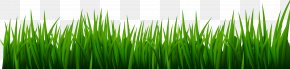 Grass Wallpaper, PNG, 5906x1975px, Green, Artificial Turf, Computer ...