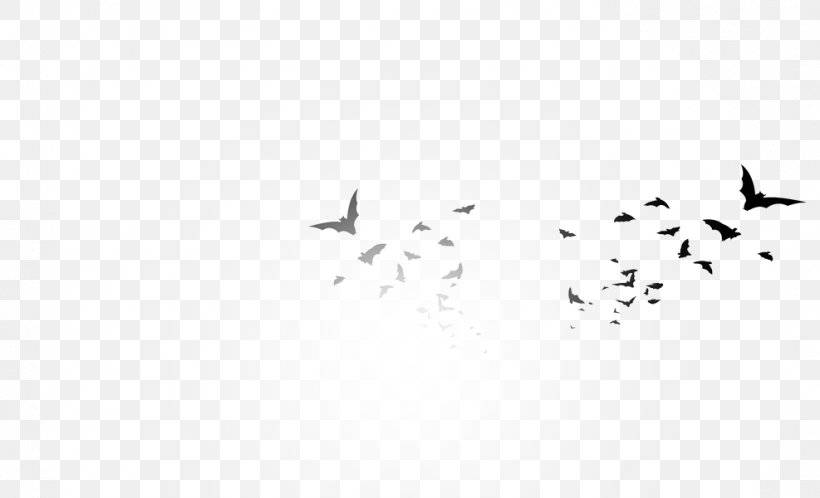 Bird Migration Font Point, PNG, 987x600px, Bird Migration, Animal Migration, Beak, Bird, Black Download Free