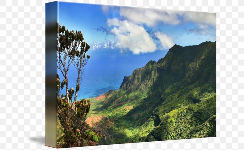 Mount Scenery Kalalau Valley Kōkeʻe State Park Gallery Wrap National Park, PNG, 650x504px, Mount Scenery, Art, Canvas, Ecosystem, Escarpment Download Free