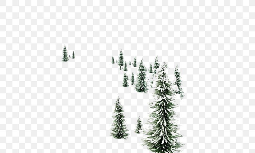 Snowman Desktop Wallpaper Pine Christmas Day, PNG, 600x493px, Snowman, American Larch, Balsam Fir, Branch, Christmas Day Download Free