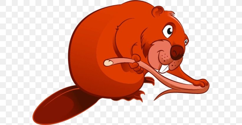 Beaver Rodent Cartoon, PNG, 600x426px, Beaver, Art, Can Stock Photo, Carnivoran, Cartoon Download Free