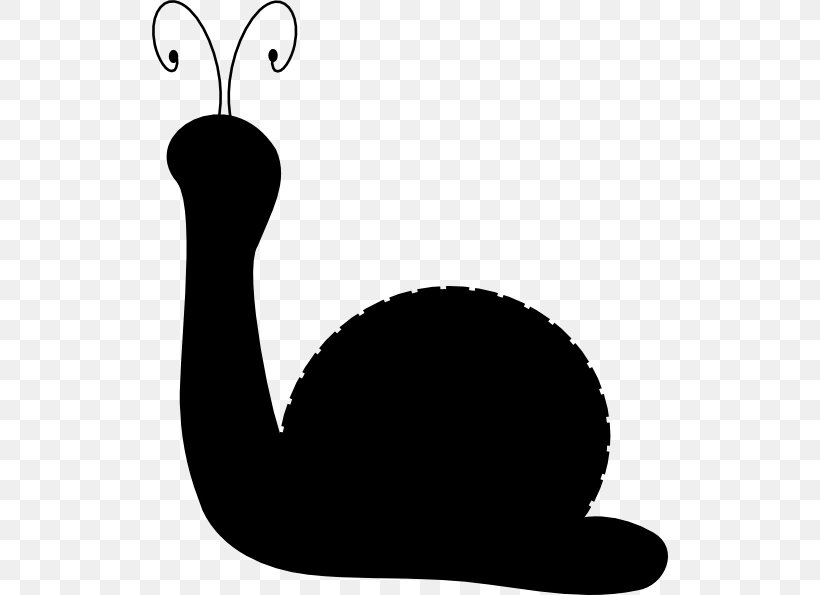 Clip Art Beak Point Line Silhouette, PNG, 516x595px, Beak, Animation, Blackandwhite, Molluscs, Point Download Free