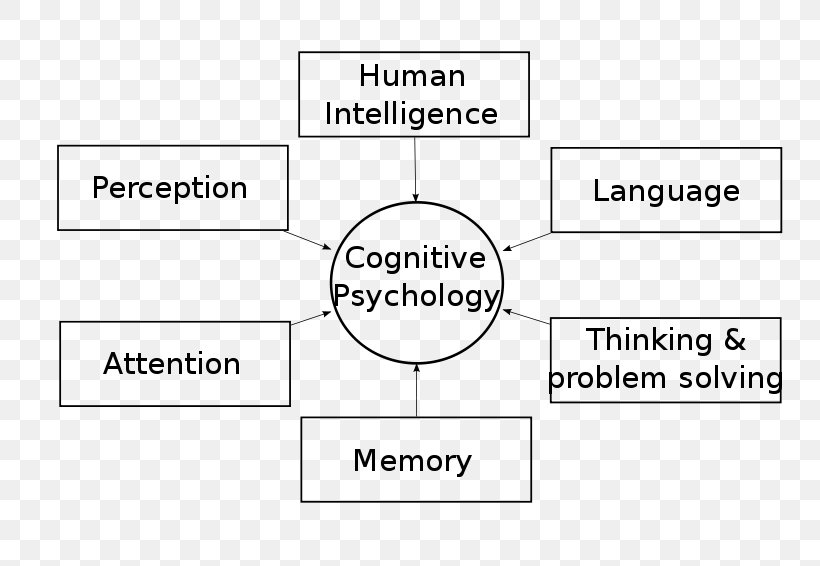 Cognitive Psychology Cognition History Of Psychology Psychologist, PNG, 800x566px, Cognitive Psychology, Area, Behaviorism, Brand, Cognition Download Free