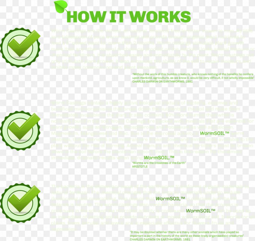 Paper Brand Green, PNG, 904x853px, Paper, Area, Brand, Grass, Green Download Free