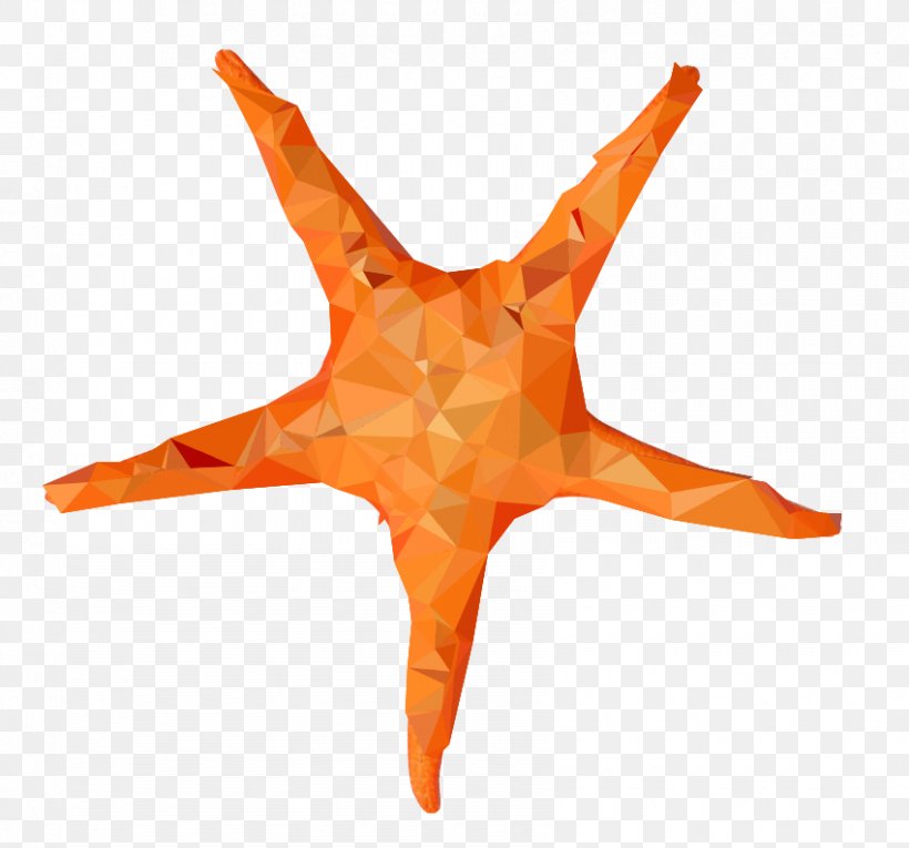 Starfish Image Desktop Wallpaper Clip Art, PNG, 850x793px, Starfish, Alpha Compositing, Brittle Stars, Echinoderm, Fish Download Free