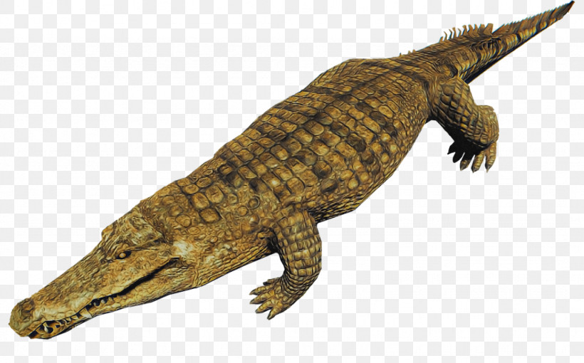 Reptile Crocodile Crocodilia Saltwater Crocodile American Crocodile, PNG, 1024x637px, Reptile, Alligator, American Alligator, American Crocodile, Animal Figure Download Free