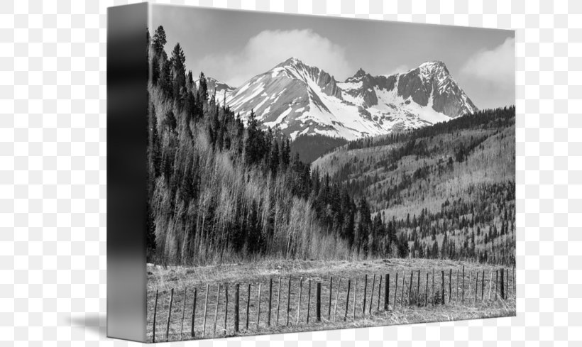 Black And White Gallery Wrap Photography, PNG, 650x489px, Black And White, Art, Black, Canvas, Elevation Download Free