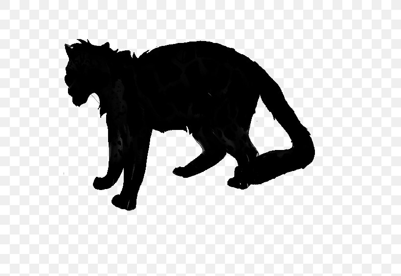 Black Cat Dog Mammal Canidae, PNG, 778x565px, Black Cat, Animal Figure, Big Cat, Black M, Black Panther Download Free