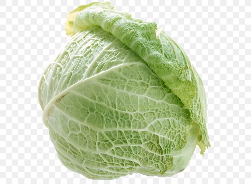 Cabbage Cruciferous Vegetables Food, PNG, 600x600px, Cabbage, Brassica Oleracea, Broccoli, Cauliflower, Chard Download Free