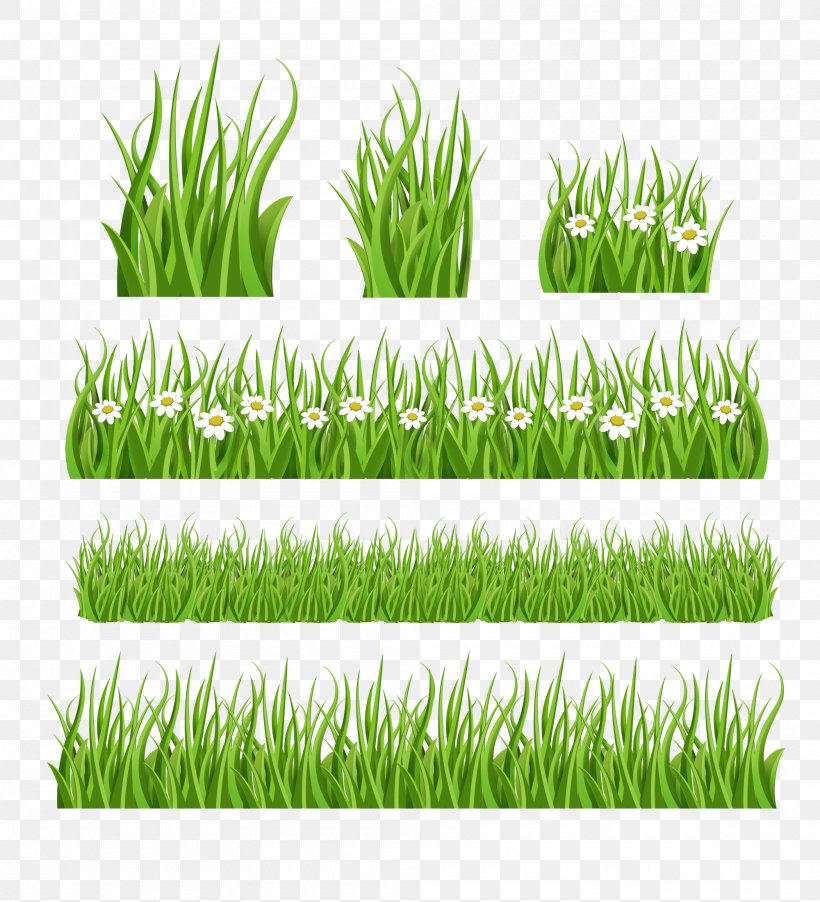 Lawn Clip Art, PNG, 2000x2200px, Lawn, Commodity, Computer Graphics, Grass, Grass Family Download Free
