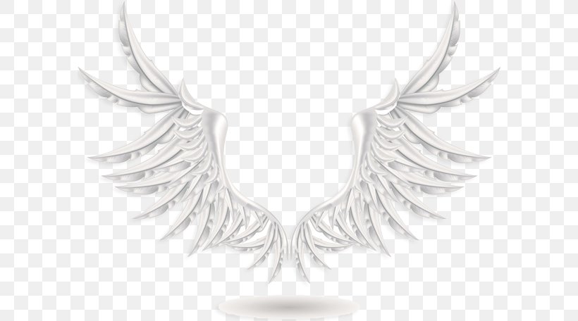 Wing Photography, PNG, 600x456px, Wing, Black And White, Drawing, Jewellery, Neck Download Free