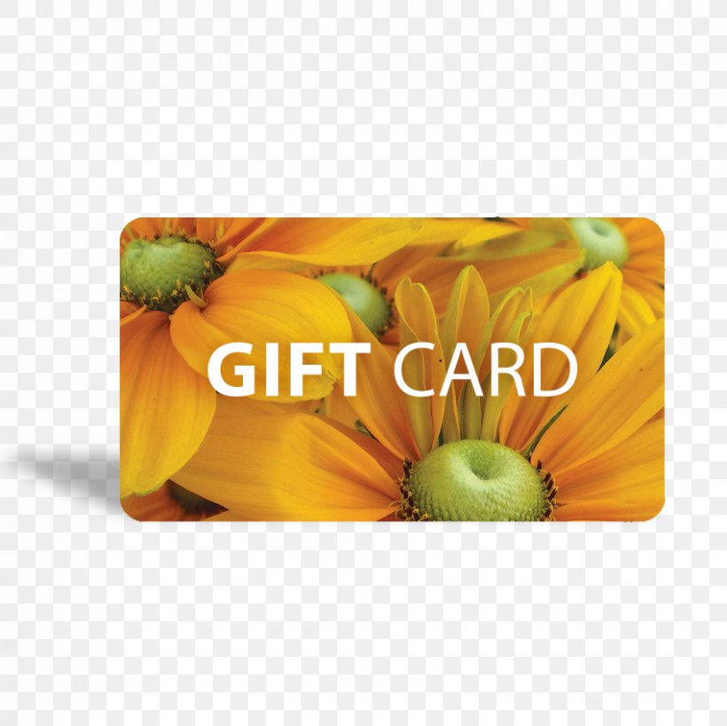 Gift Card Greeting & Note Cards Mother Nature, PNG, 850x848px, Gift, Animal, Art, Common Sunflower, Flower Download Free
