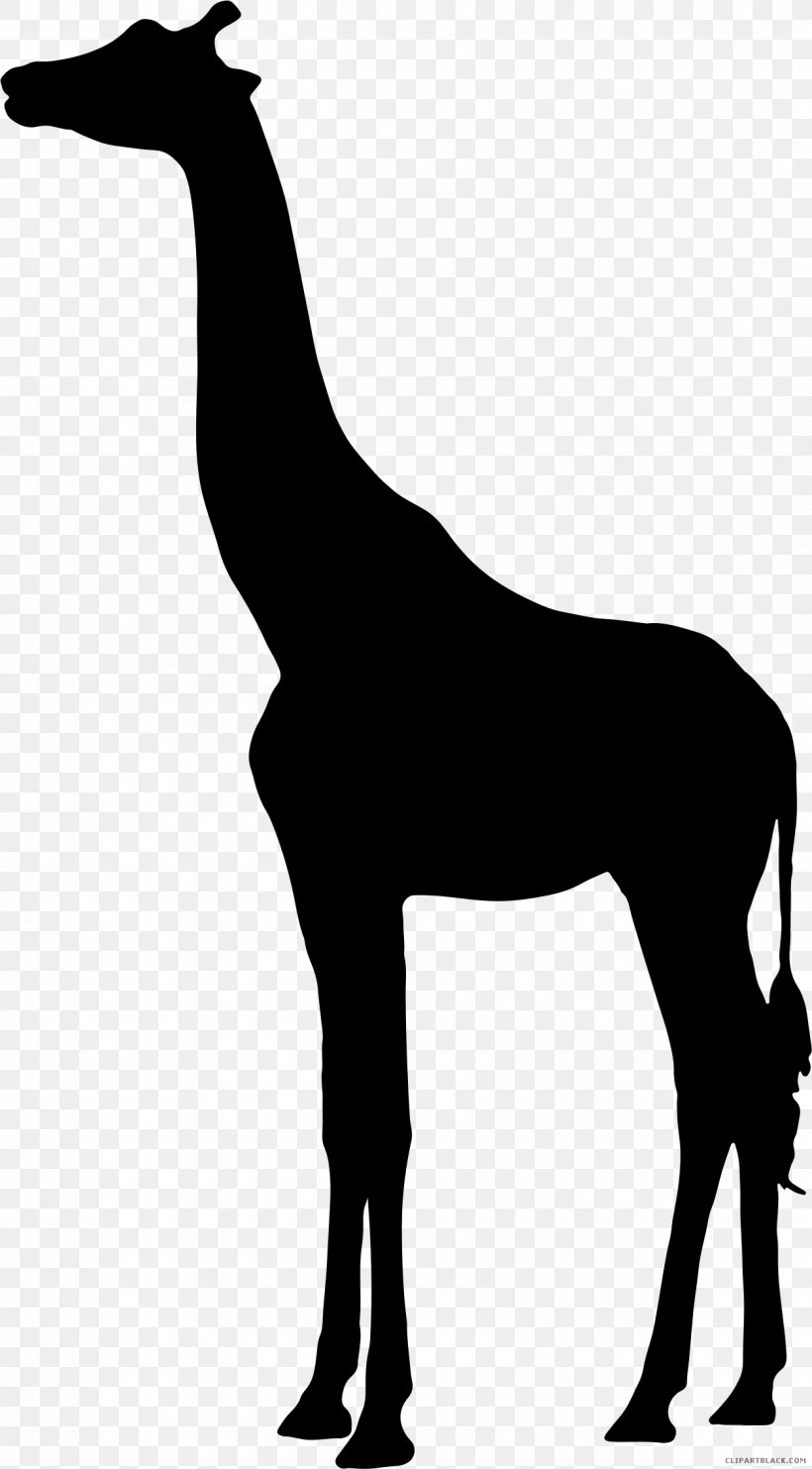 Clip Art Silhouette Vector Graphics Image, PNG, 1250x2261px, Silhouette, Animal Figure, Blackandwhite, Giraffe, Giraffidae Download Free