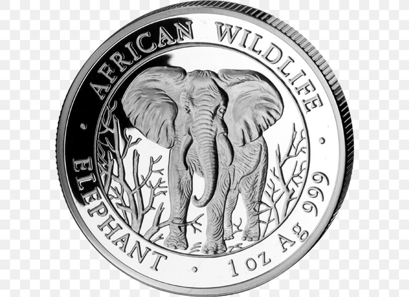 Coin Indian Elephant Silver African Elephant Somalia, PNG, 600x595px, Coin, African Elephant, Black And White, Bullion, Bullion Coin Download Free