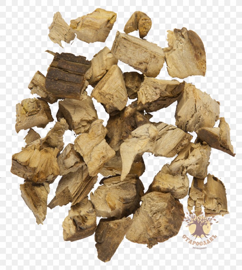 Common Sunflower Root Sunflower Oil Medicinal Plants, PNG, 1024x1143px, Common Sunflower, Common Nettle, Extract, Herb, Herbaceous Plant Download Free