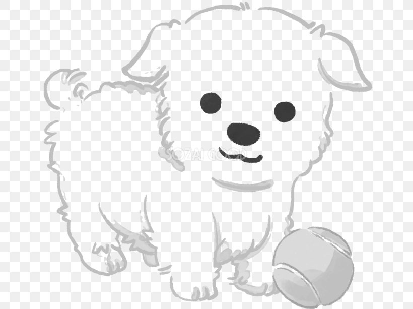 Dog Breed Puppy Maltese Dog Havanese Dog Bichon Frise, PNG, 660x613px, Watercolor, Cartoon, Flower, Frame, Heart Download Free