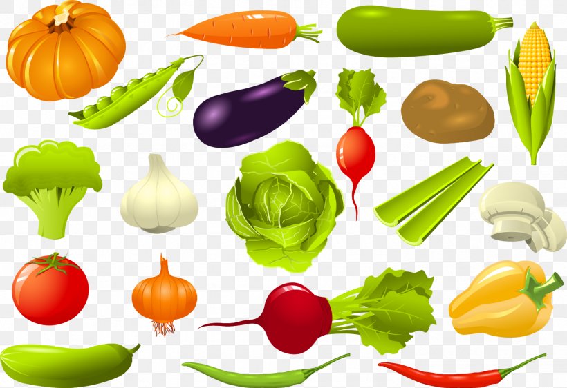 Leaf Vegetable Beetroot Clip Art, PNG, 1501x1030px, Vegetable, Beetroot, Cooking, Cucumber, Cucurbita Download Free