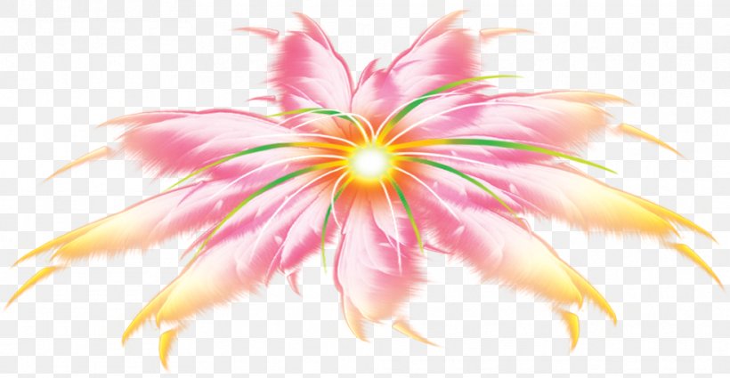 Special Effects, PNG, 986x512px, Special Effects, Designer, Epiphyllum, Fireworks, Flora Download Free
