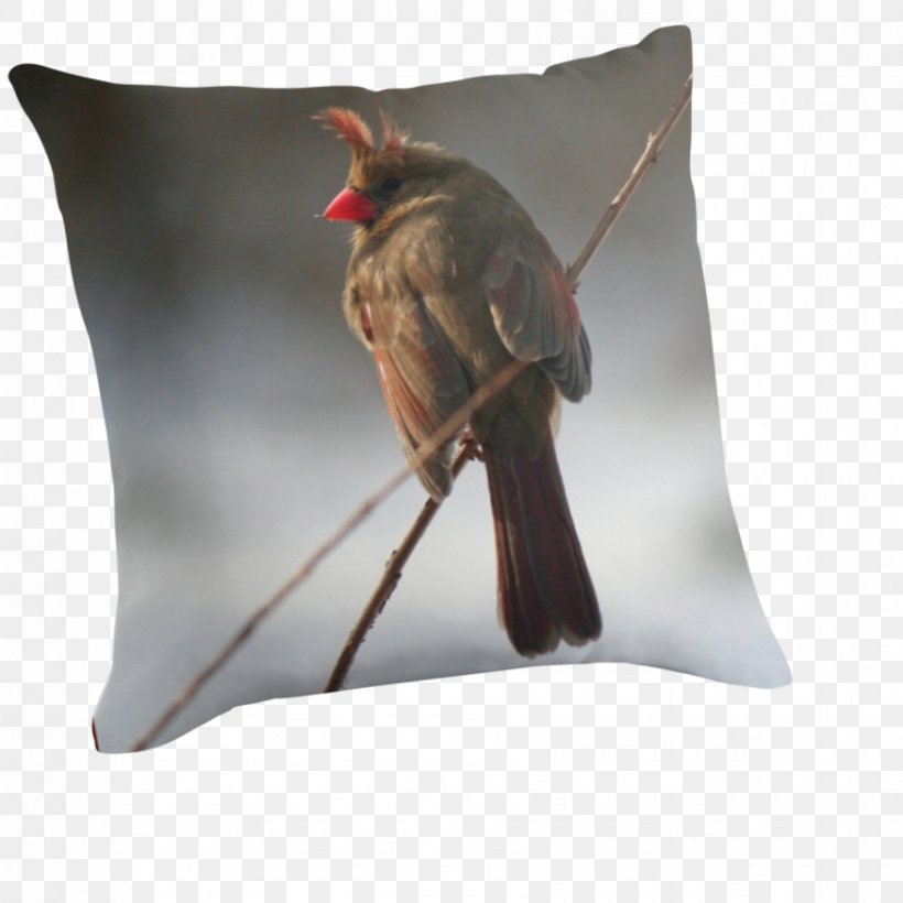 Throw Pillows Cushion Beak, PNG, 875x875px, Throw Pillows, Beak, Cushion, Throw Pillow Download Free