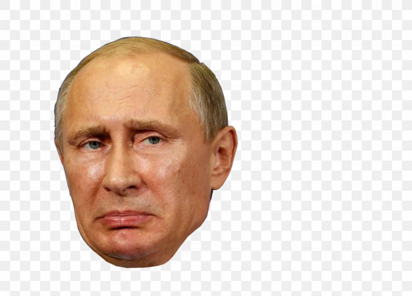 Vladimir Putin President Of Russia G20 State Duma, PNG, 1024x738px, Vladimir Putin, Brics, Cheek, Chin, Dmitry Peskov Download Free