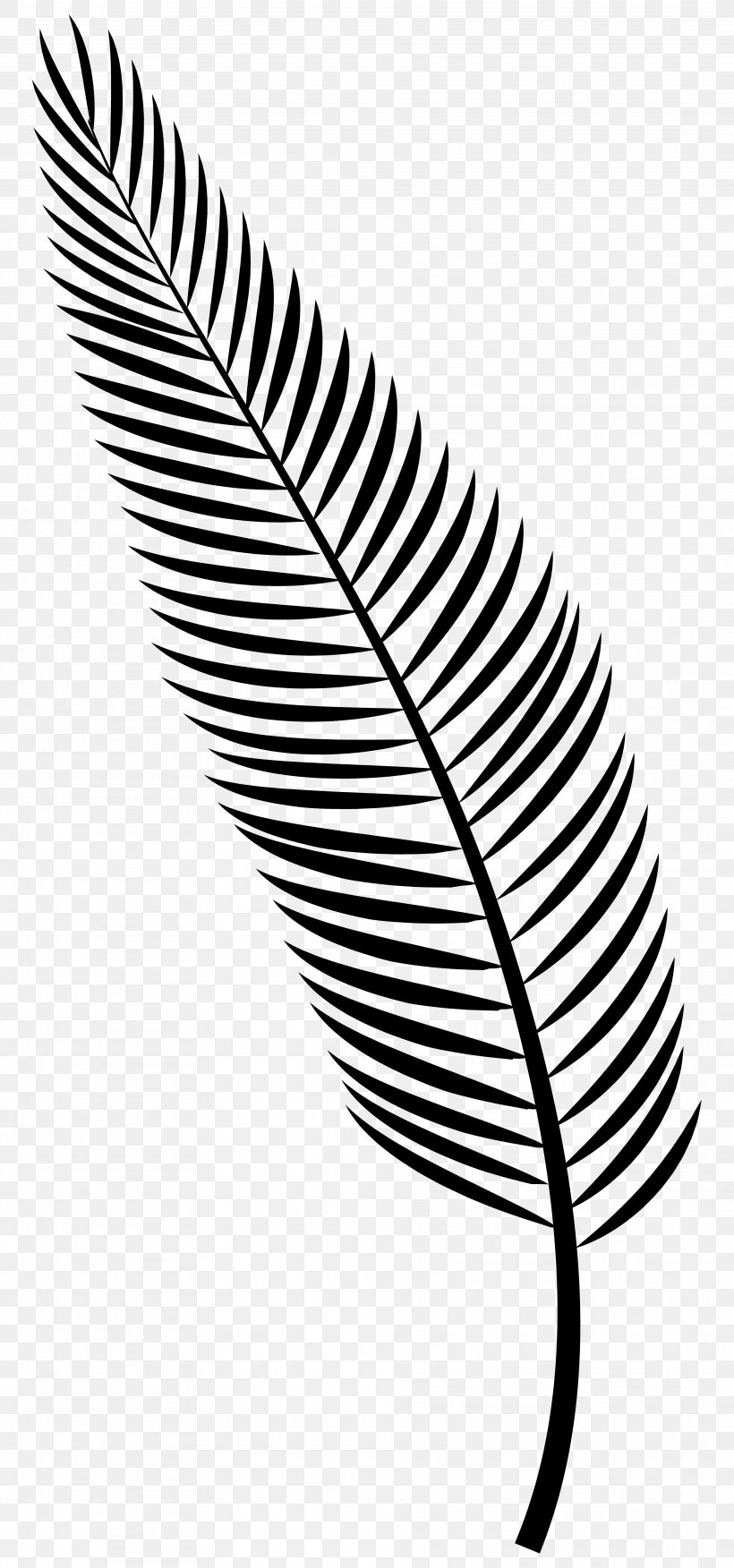 Clip Art Openclipart Vector Graphics Image GIF, PNG, 3743x8000px, Drawing, Blackandwhite, Fashion Accessory, Feather, Fern Download Free