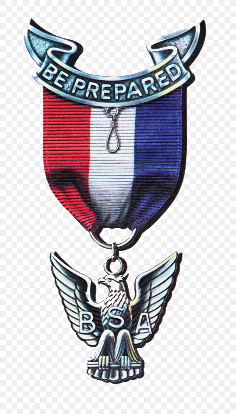 Eagle Scout Boy Scouts Of America Eagle Court Of Honor Scouting, PNG, 753x1438px, Eagle Scout, Award, Birthday, Boy Scouts Of America, Court Of Honor Download Free