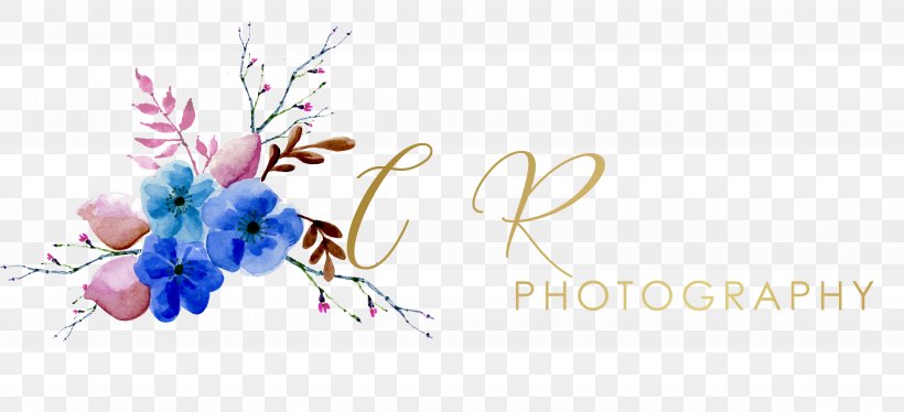 Floral Design Photography Graphic Designer, PNG, 5000x2286px, Floral Design, Art, Artwork, Birthday, Blossom Download Free