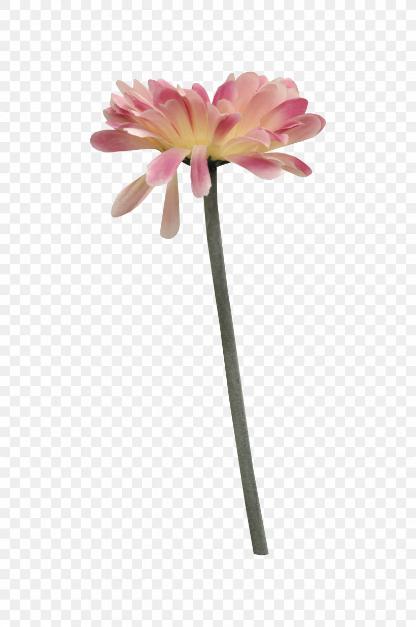Flower Bouquet, PNG, 2848x4288px, Flower, Artificial Flower, Cut Flowers, Daisy Family, Designer Download Free