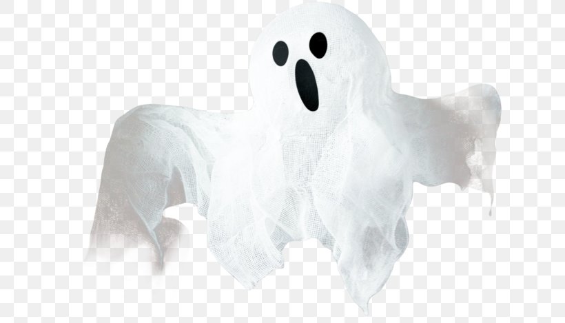 Ghost Image Halloween Clip Art, PNG, 640x469px, Ghost, Cat, Digital Image, Fictional Character, Ghost Ship Download Free
