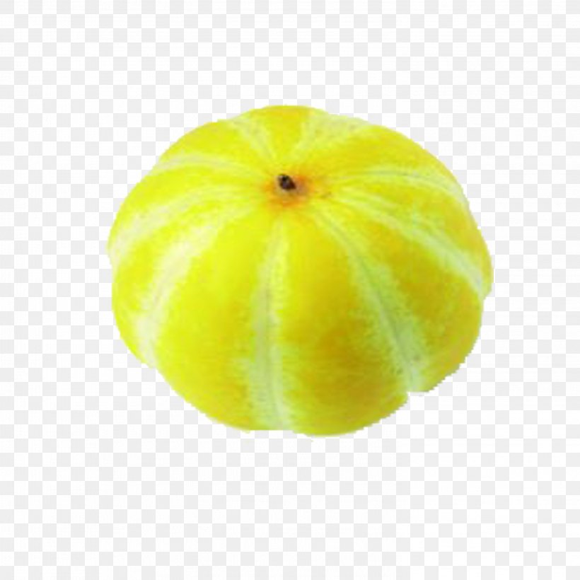 Korean Melon Citron, PNG, 2953x2953px, Korean Melon, Citric Acid, Citron, Citrus, Citrus Junos Download Free