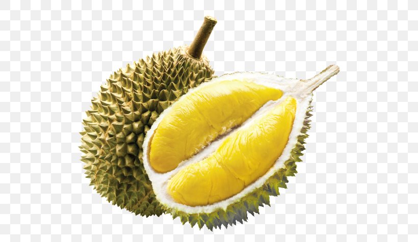 Tropical Fruit Durio Zibethinus Durian Pancake Food, PNG, 590x475px, Tropical Fruit, Cempedak, Delicacy, Dried Fruit, Durian Download Free