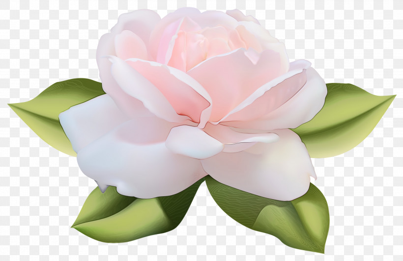 Artificial Flower, PNG, 3000x1949px, Watercolor, Artificial Flower, Cut Flowers, Flower, Green Download Free