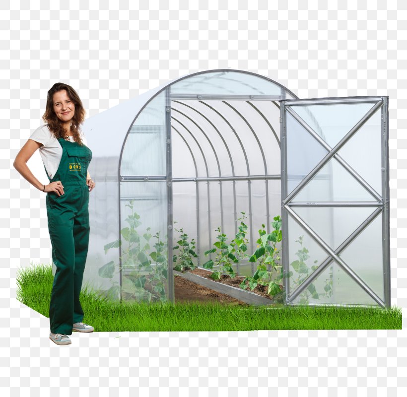 Greenhouse Length Garden Square Meter, PNG, 800x800px, Greenhouse, Garden, Glass, Grass, Heat Download Free