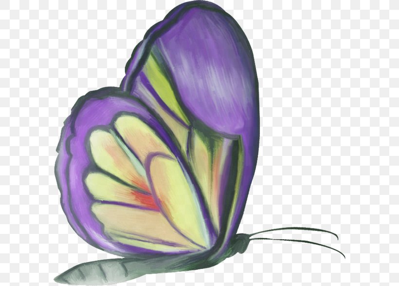 Butterfly Clip Art, PNG, 600x587px, 2018, Butterfly, Animal, Brush Footed Butterfly, Butterflies And Moths Download Free